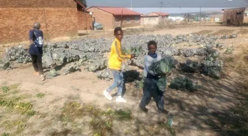 Two children carrying cabbages across the vegetable plot in Sakhelwe where they were grown.