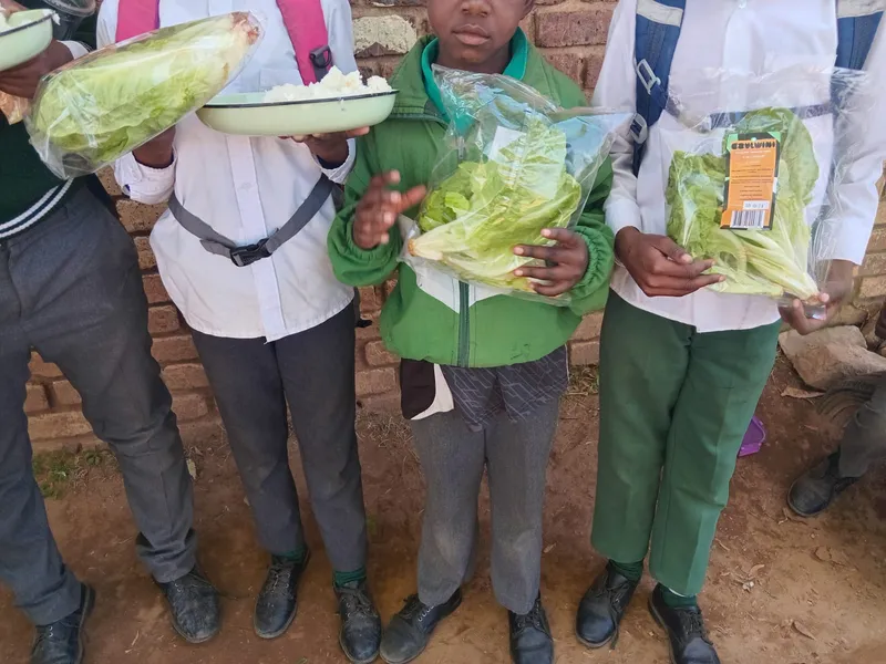 Children lined up against a brick wall, each holding a bagged lettuce, one also carrying a dish of pap.