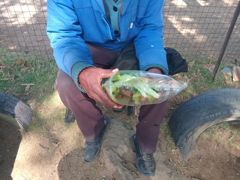 More of the lettuce delivery being handed out to children at the centre.